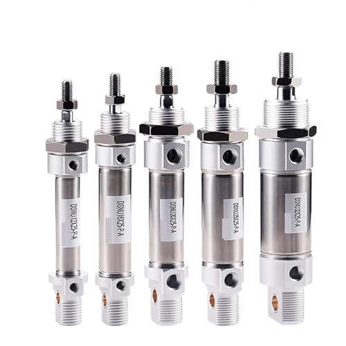 Cylindre pneumatique DSNU 12 course 100mm en acier inoxydable pour automatisme
