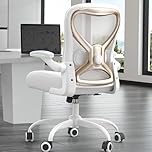Ergonomic Office Desk Chair with 3.5" Thick Cushion, Adjustable Lumbar Support, Flip-Up Arms, Breathable Mesh Back Chair โComputer Task Chair for Home Office