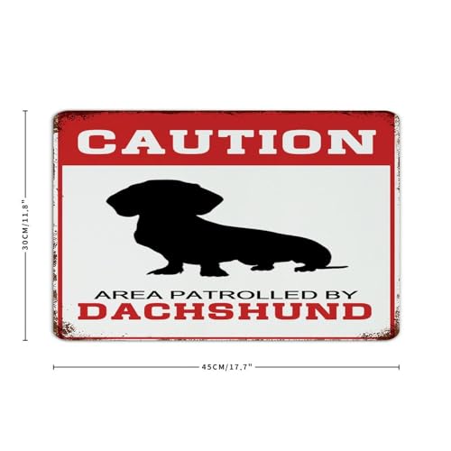 Plaque décorative Dachshund en métal, cadeau idéal pour une chambre d'homme ou un atelier - 3