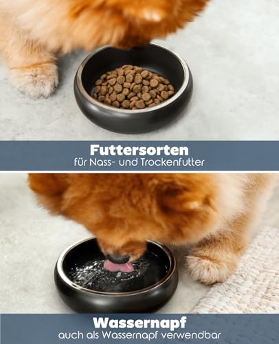 lionto Futternapf aus robustem Edelstahl, 360 ml, lebensmittelechter Hundenapf mit rutschfesten Silikonpads, rostfreier Wassernapf für Hunde & Katzen, gewölbt, schwarz