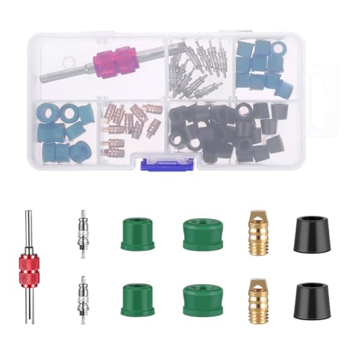 WINOMO 71Pcs A/C Air Conditioning Valve Core Accessories R12 R134a Refrigeration Valve Core Remover Installer Assortment Box Set Kit