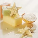  Sondra Wampler Affiche Teaberry 25 x 25 cm