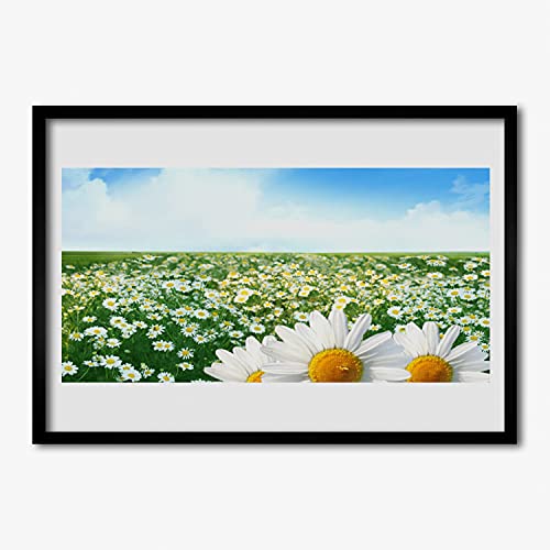 Affiche avec cadre 70x50 cm Tulup cadre en MDF image murale salon daisy flowers meadow