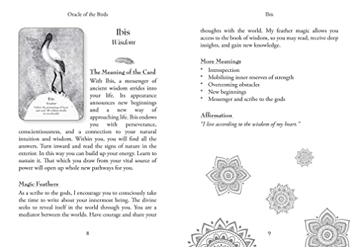 Oracle of the Birds: A 46-Card Deck and Guidebook