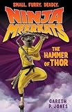 The Hammer of Thor (Ninja Meerkats)