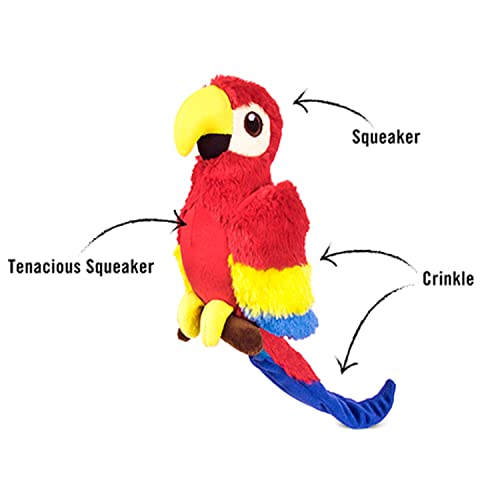 P.L.A.Y. Pet Lifestyle and You - Fetching Flock