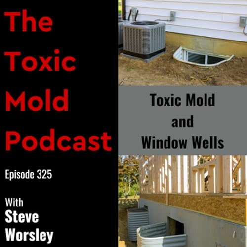 EP 325: Toxic Mold and Window Wells Podcast Por  arte de portada