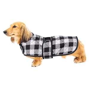 Geyecete Waterproof Warm Thermal Quilted Dachshund Coat with Warm Fleecy Lining Inside,Outdoor Dog Apparel with Adjustable Bands for Small,Medium Dog-Black-S Geyecete Waterproof Warm Thermal Quilted Dachshund Coat with Warm Fleecy Lining InsideOutdoor Dog Apparel with Adjustable Bands for SmallMedium Dog Black S