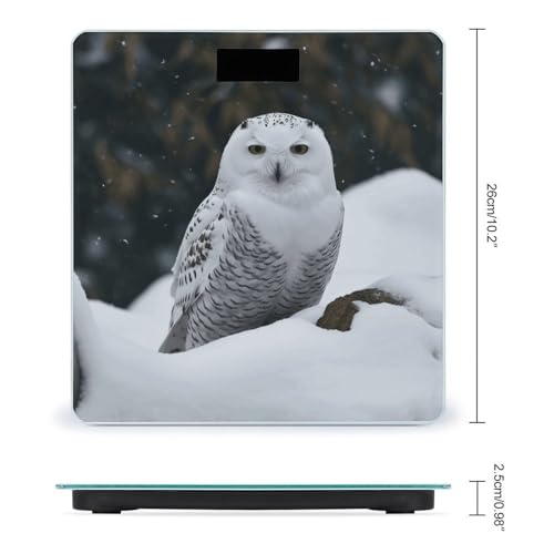 Báscula Digital de Baño Snow Owl Capacidad 400lb LCD miniatura 2