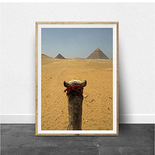 Affiche photo de chameau moderne 50x70cm pour décoration murale de salon