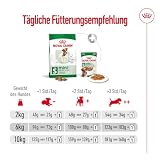 ROYAL CANIN MINI Adult Trockennahrung für Hunde – 0.8 kg