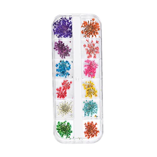 Fiori secchi per unghia arte naturale naturale 12