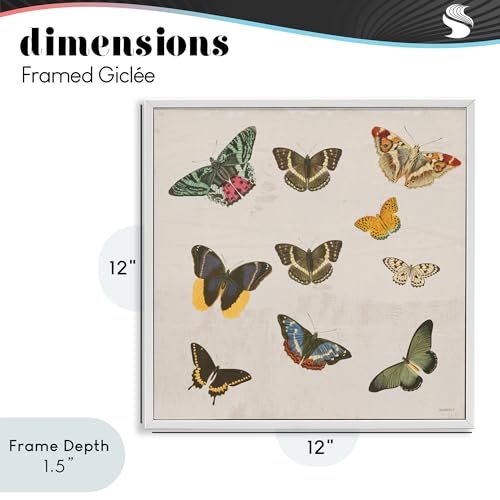 Poster encadré papillon blanc Stupell fabrication États-Unis - 5