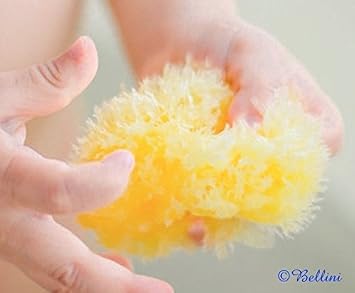 Bellini %100 Doğal Akdeniz Süngeri - Bebek Banyo Süngeri