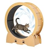 Leises Indoor-Laufrad für Katzen Ø 100 cm aus Holz – Katzen-Trainingsrad für Wohnungskatzen – TPE-Rollen & 5 mm Pfotenschutz-Spalt mit Sicherheitsverriegelung – Farbe: Naturholz