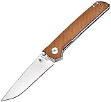 Kizer Cutlery Domin Tan