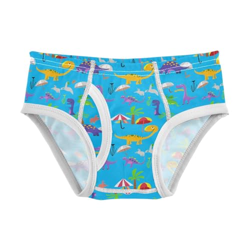 Cartoon Dinosaurs Toddler Boy's Underwear 2T 202c1761