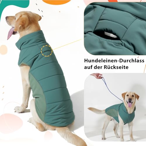 Poiinvc Winddichter Hundemantel Hundejacke mit Geschirrloch Reflektierend Warm und Wasserdicht für Hunde von S bis XXXL mit Elastischen Bündchen Ideal für Outdoor
