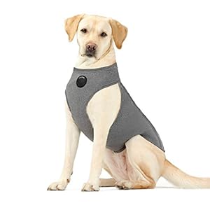 Neoally Dog Angstjacke Beruhigungsweste mit meiste Torso-Abdeckung inkl. Brust für beste beruhigende Wirkung, 3-stufig verstellbares Kompressions-Donnershirt für Hunde