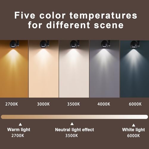 Image of Led Ceiling Spotlight 5 Color Temperature Adjustable Dimmable Round 12W Spot Light Indoor CRI95+ Flush Mount Lights Fixture Beam Angle 24 Degrees Accent Lighting Black 1 Pack