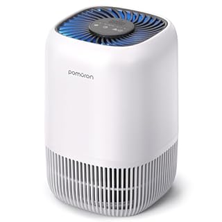 Purificateurs d'air pour chambre à coucher, maison, filtre HEPA H13 avec éponge parfumée pour fumée, allergies, pollen, squames d'animaux, odeurs, poussière, purificateur d'air portable pour chambre à