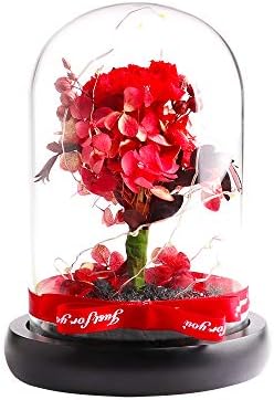 Preserved Flowers - COOAK Handmade Preserved Carnation, Upscale Flowers with LED Lights Red Preserved Flowers in Glass Dome Gift for Her Thanksgiving Christmas Valentine's Day Birthday Mother's Day