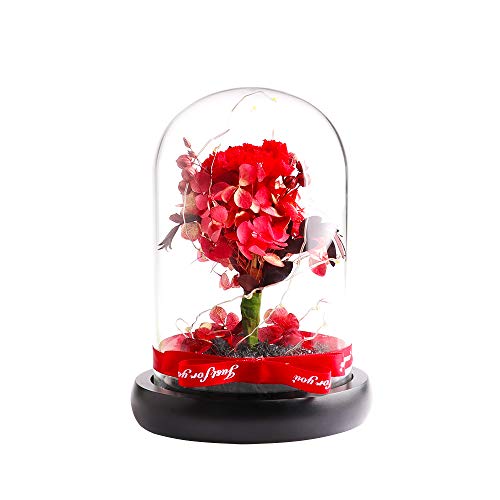 Preserved Flowers - Cooak Handmade Preserved Carnation, Upscale Flowers With Led Lights Red Preserved Flowers In Glass Dome Gift For Her Thanksgiving Christmas Valentine's Day Birthday Mother's Day #TOP3