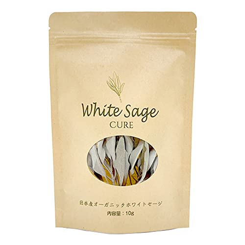 {YzCgZ[W 10g (}t) 򉻗p (1) _ K ґz