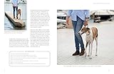 Die José-Arce-Methode: Liebe Deinen Hund. Wie Sie beim Gassigehen die Beziehung stärken (GU Mensch-Hund-Beziehung)