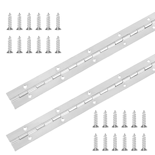 2 Pack Stainless Steel Piano Hinges, 12 Inch Heavy Duty Polished, with Mounting Screws