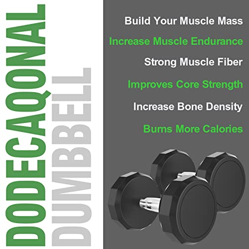 Balelinko Dodecagonal Dumbbells In Pair, Free Hand Weight With Metal Handle For Home Gym Equipment Workout Strength Training,20Lb #TOP4