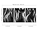 Sexy Modern Nude Decor for Bathroom Black and White Wall Art Feminine Lady Canvas Posters Prints Erotic Artwork for Apartment Home Bar Hotel Decorations Framed Ready to Hang 12x16inchx3Pcs