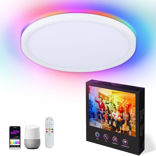 VocgoUU 12 Inch Smart Ceiling Light main view