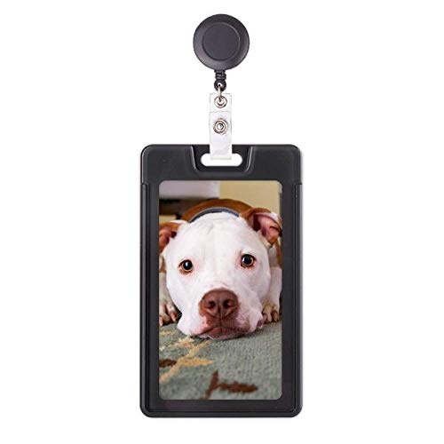Porte-badge rétractable bouledogue blanc pour ne plus perdre votre pass