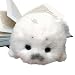 Genérico Lindo De Peluche De Foca Imagen de Genérico Lindo De Peluche De Foca