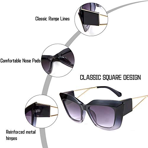 FEISEDY Retro Thick Square Cateye Sunglasses Women Men ARIZONA DREAM Metal Temple B27104