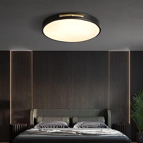 Luz de techo regulable LED de 30cm para iluminar con estilo el salón o dormitorio 4
