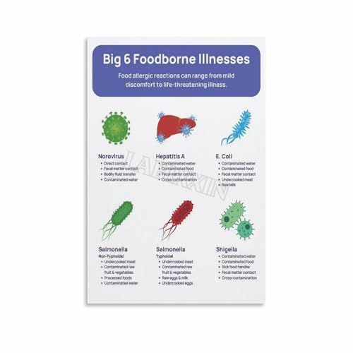 Food Safety Poster, Common Foodborne Illnesses Prevention Guide, Health Inspection Wall Art for Kitchen Restaurant Office Decor(Unframed,08x12inch(20x30cm))
