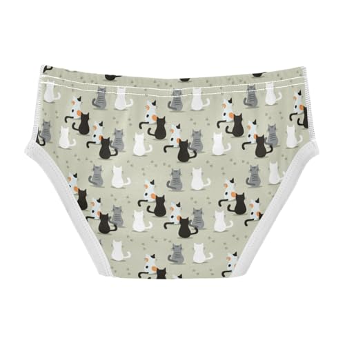 Boys' Exclusive Briefs Toddler Underwear 95% Combed Cotton Boxerbriefs 2T Cat Pattern 592