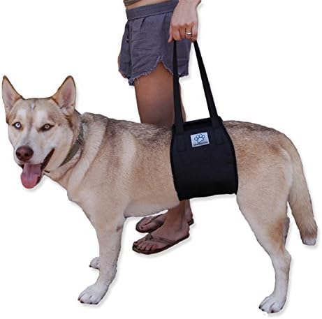 Dog Lift Support Rehabilitation Harness for canines aid - Medium and Large Assist Sling to help with mobility. Lifting Older K9 & Young Puppies with handle for Weak hind legs & Joints surgery.