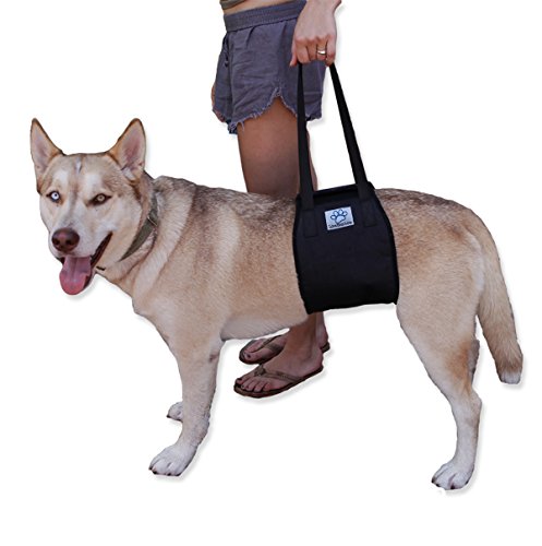 Dog Lift Support Rehabilitation Harness For Canines Aid - Medium And Large Assist Sling To Help With Mobility. Lifting Older K9 & Young Puppies With Handle For Weak Hind Legs & Joints Surgery. #TOP27