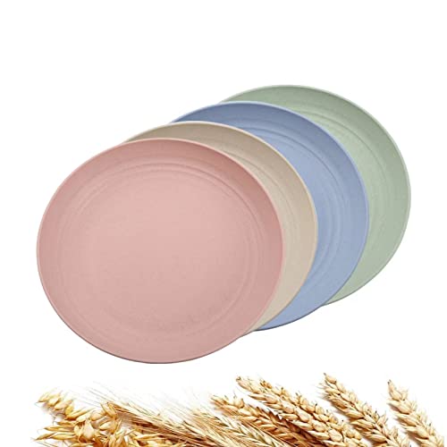 4 Stück Teller, 23cm Speiseteller, Camping Teller Set,Unzerbrechliches Geschirr Plate für Pizza Pasta Brot Jause Salat Gesunde Cover