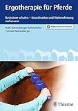 Ergotherapie für Pferde: Basissinne schulen – Koordination und Wahrnehmung verbessern