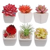 Faux - fausses plantes pour la décoration intérieure, vous n'avez pas besoin de passer autant de à que vraies plantes, vous pouvez ajouter une naturelle à votre maison, décoration intérieure