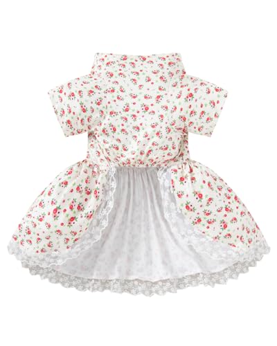 Disfraz de anciana para perro talla medium beige miniatura 3