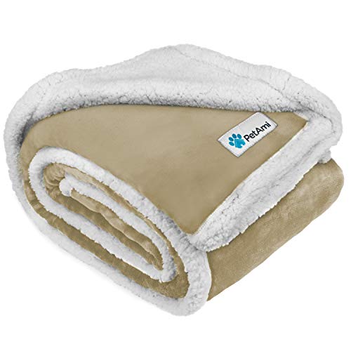 Top 10 Best Couch For Dog Owners Reviews with Buying Guide in 2022