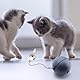 DAWRIS Interaktives Katzenball Spielzeug, Katzen Ball Elektrisch Katzenspielzeug Katze Katzenball Chewie Rolling Ball, Interaktives Hunde