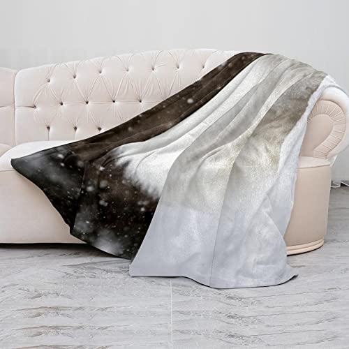 Couvertures chaudes et douces haut de gamme motif chien Samoyède