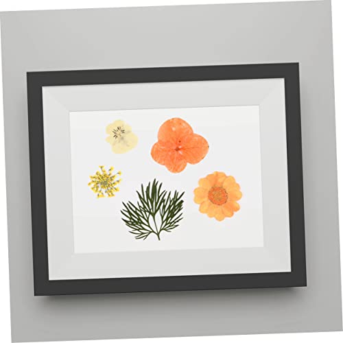 Kit de flores prensadas secas para manualidades color naranja miniatura 3