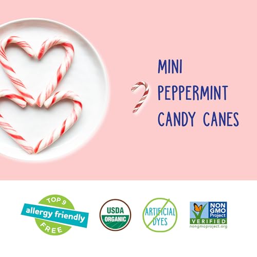 Yumearth Organic Holiday Mini Candy Canes thumb #3